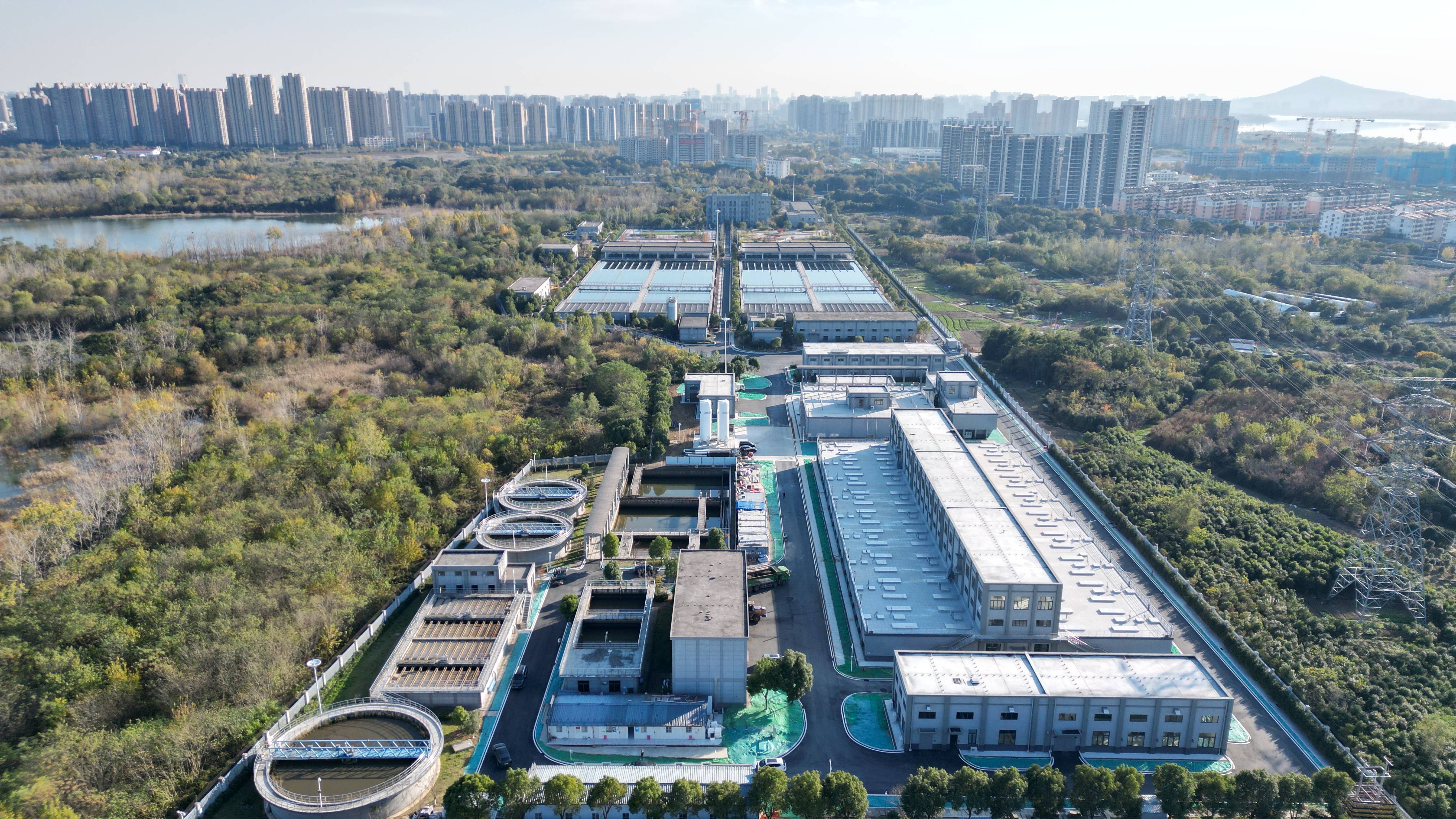 遂宁市合肥专业企业价值增长(合肥市重点企业产业目录)
