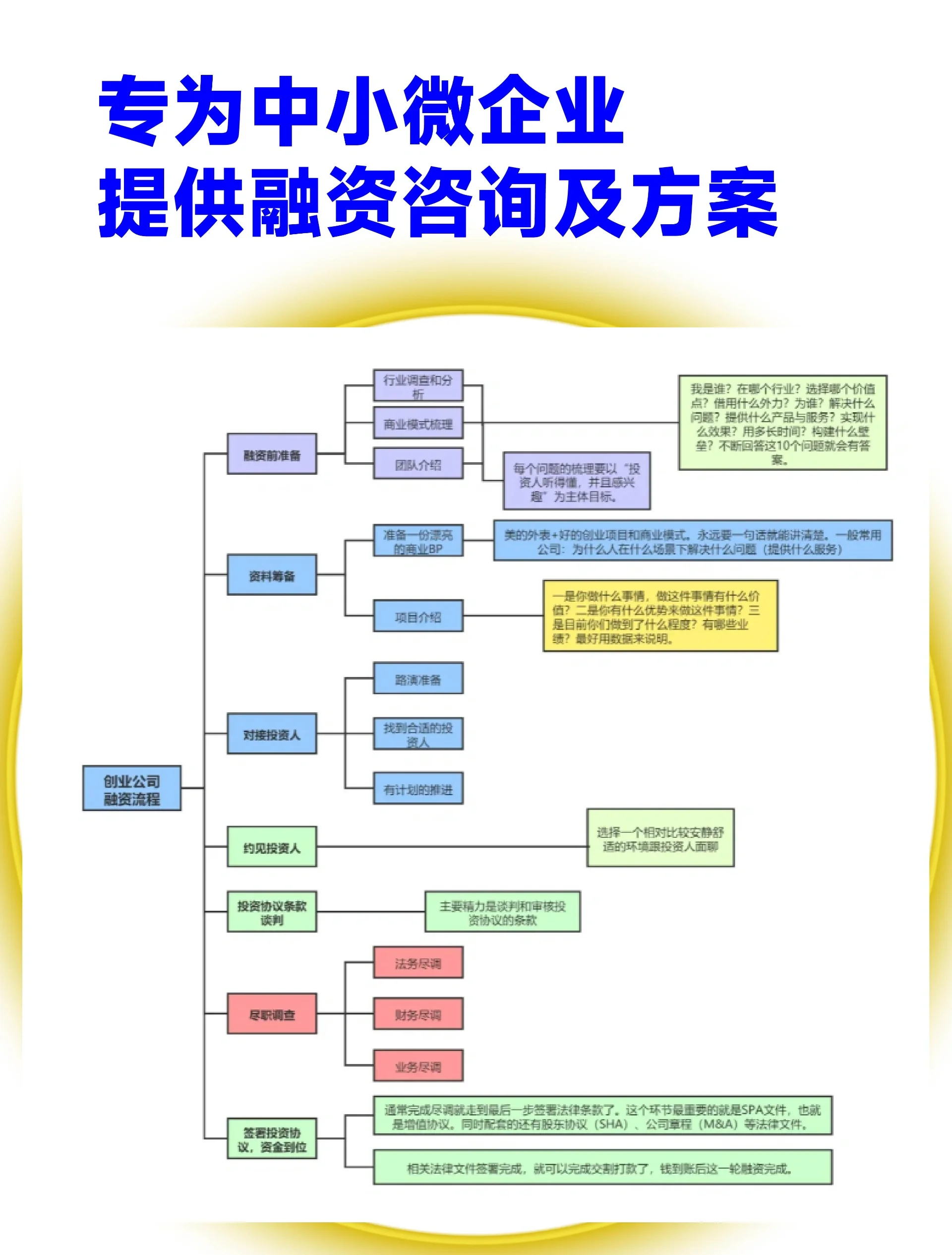 遂宁市宠物企业资金管理(宠物管理机构叫什么)