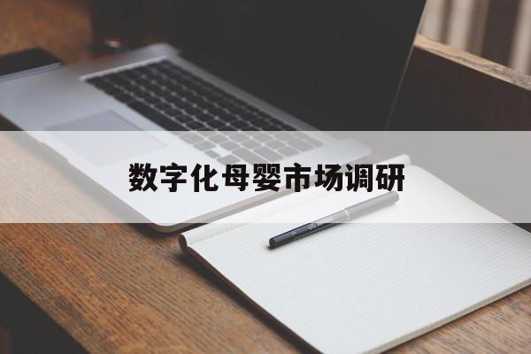 遂宁市数字化母婴市场调研(数字化母婴市场调研报告)